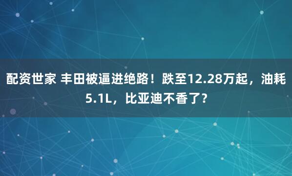 配资世家 丰田被逼进绝路！跌至12.28万起，油耗5.1L，比亚迪不香了？