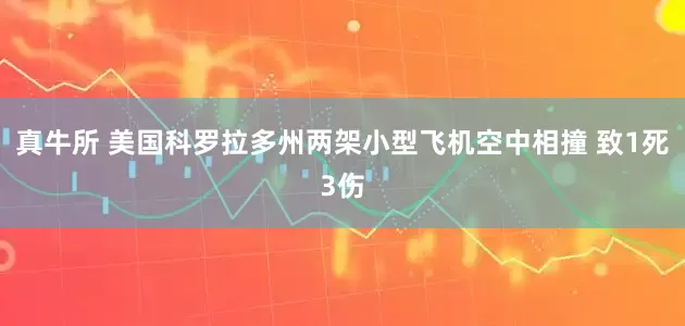 真牛所 美国科罗拉多州两架小型飞机空中相撞 致1死3伤